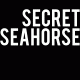 secretseahorse's Avatar