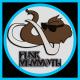 Funkmammoth's Avatar